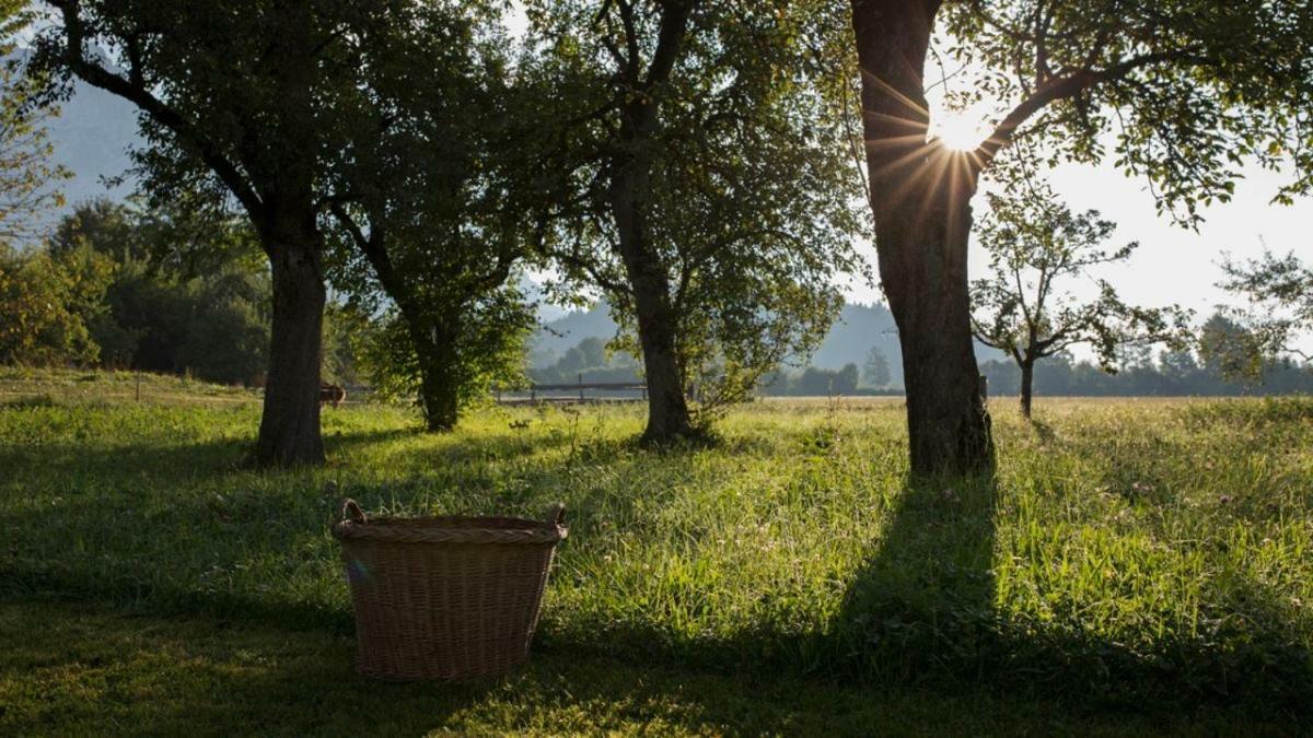 Bauernhof Lindenhof Bed & Breakfast เชฟเฟา อัม วิลเดนไคเซอร์ ภายนอก รูปภาพ